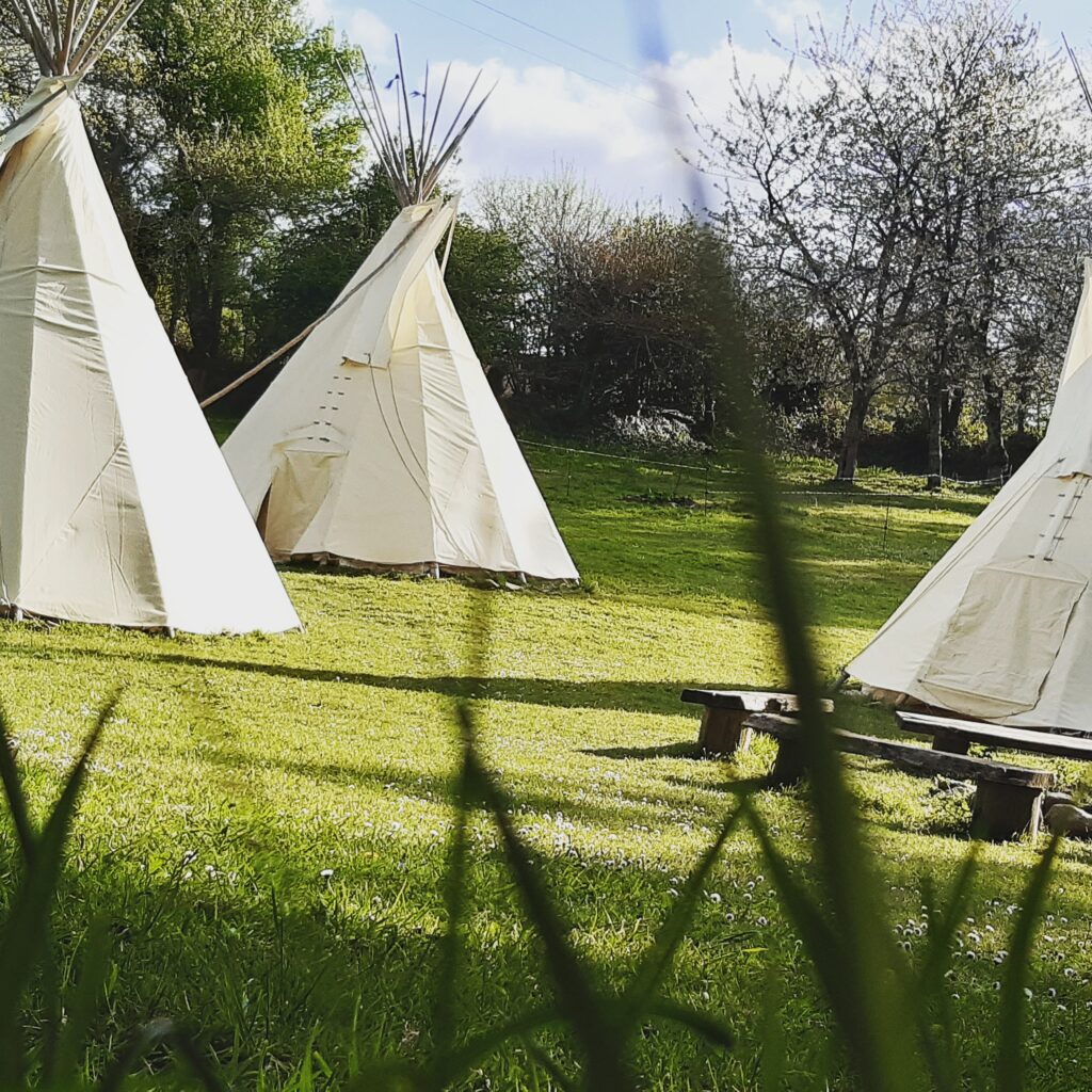 tipi au milieu de la prairie
